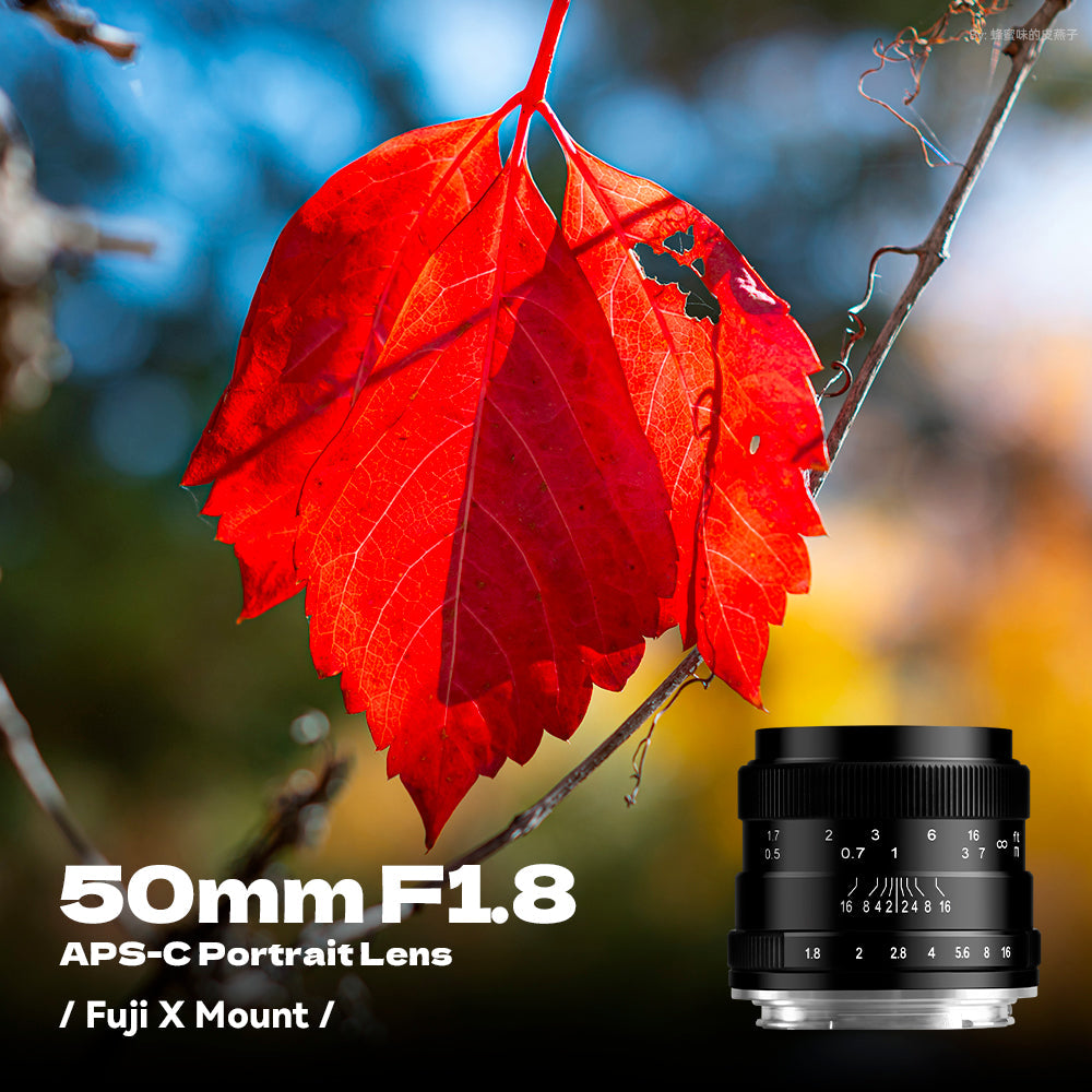 50mm F1.8 APS-C Manual Focus Lens Fit for Canon EOS-M Mount