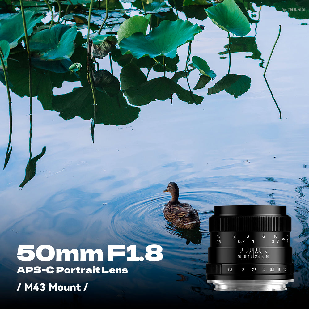 50mm F1.8 APS-C Manual Focus Lens Fit for Canon EOS-M Mount