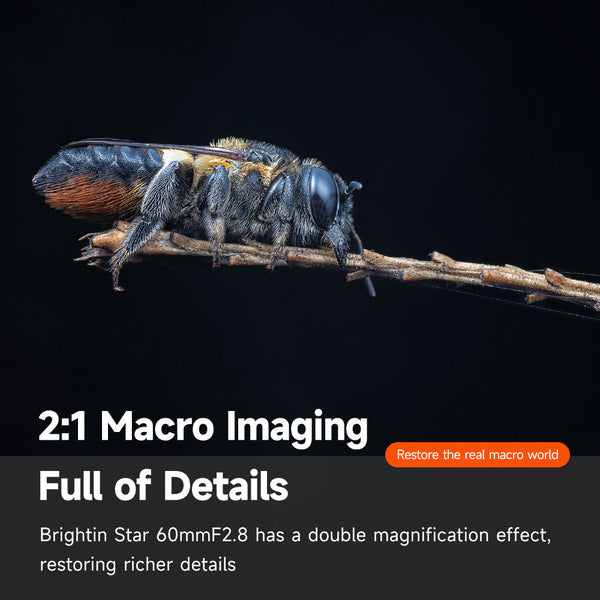 Brightin Star 60mm F2.8 II 2X Macro Magnification Manual Focus  Lens Fit for Sony E/Canon M/Canon RF/Fuji X/Nikon Z/M43 Mount