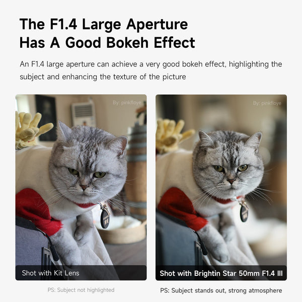 50mm F1.4 III APS-C Manual Focus Portrait Lens for M43