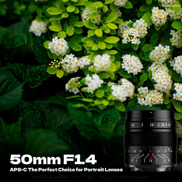 50mm F1.4 APS-C Manual Focus Prime Lens for Panasonic/Olympus Micro 4/3 Mount