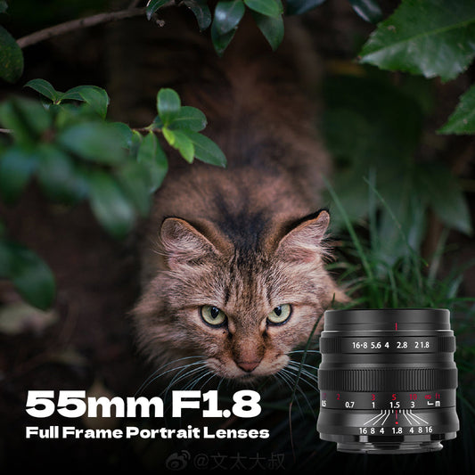 55mm F1.8 Full Frame Large Aperture Manual Focus Mirrorless Camera Lens, Fit for Canon RF-Mount EOS-RP, EOS-R, EOS-R5, EOS R7, EOS-R6, EOS-R3, EOS-R10