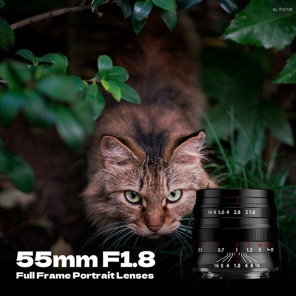 55mm F1.8 Full Frame Large Aperture Manual Focus Mirrorless Camera Lens, Fit for Canon RF Mount