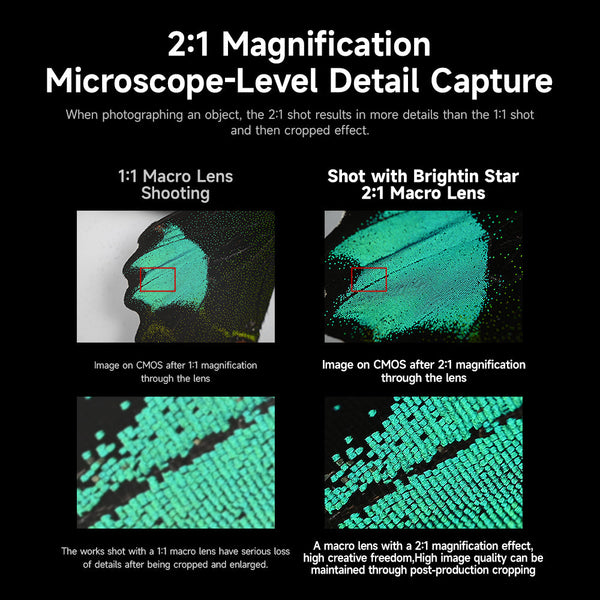 Brightin Star 60mm F2.8 II 2X Macro Magnification Manual Focus  Lens Fit for Sony E/Canon M/Canon RF/Fuji X/Nikon Z/M43 Mount