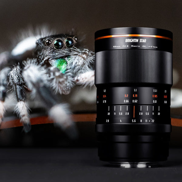 60mm F2.8 II 2X Macro Magnification Manual Focus Lens Fit for Panasonic/Olympus Micro 4/3 Mount