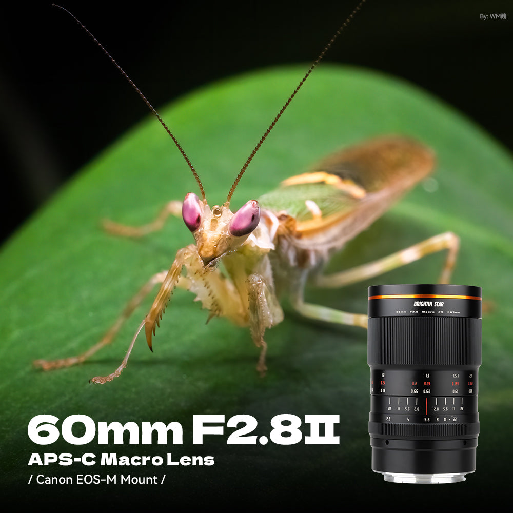 60mm F2.8 II 2X Macro Magnification Manual Focus Mirrorless Camera Lens - Brightin Star