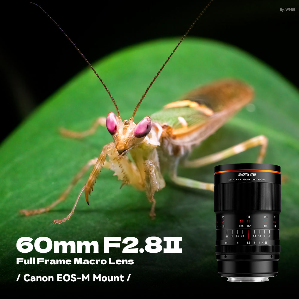 60mm F2.8 II 2X Macro Magnification Manual Focus Mirrorless Camera Lens, Fit for Fuji X Mount