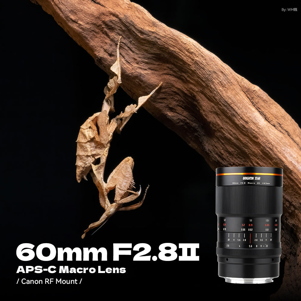 60mm F2.8 II 2X Macro Magnification Manual Focus Mirrorless Camera Lens, Fit for Canon RF Mount