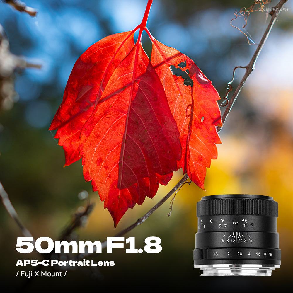 50mm F1.8 Manual Focus Lens Fit for Canon EOS-M Mount