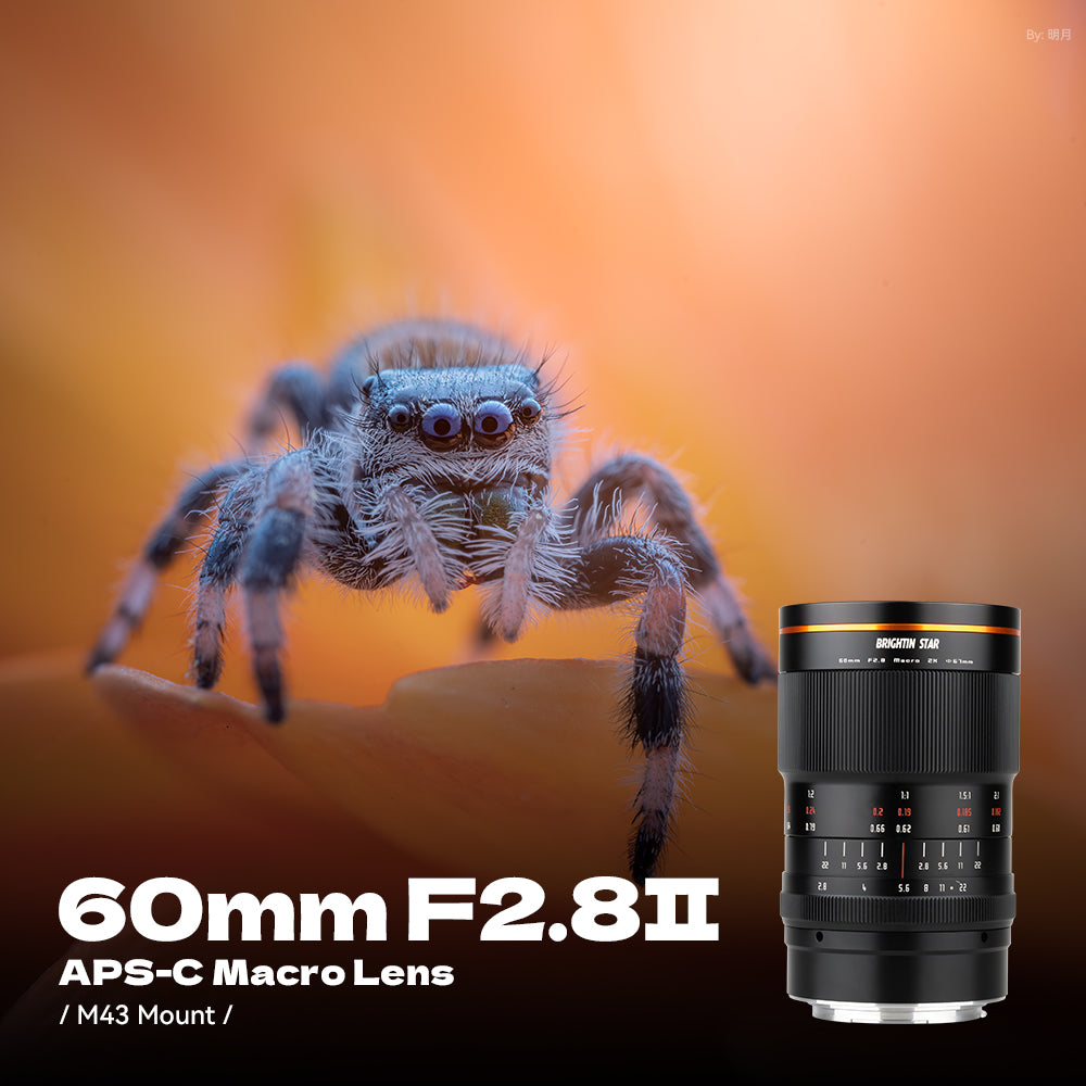 60mm F2.8 II 2X Macro Magnification Manual Focus Mirrorless Camera Lens, Fit for Canon RF Mount