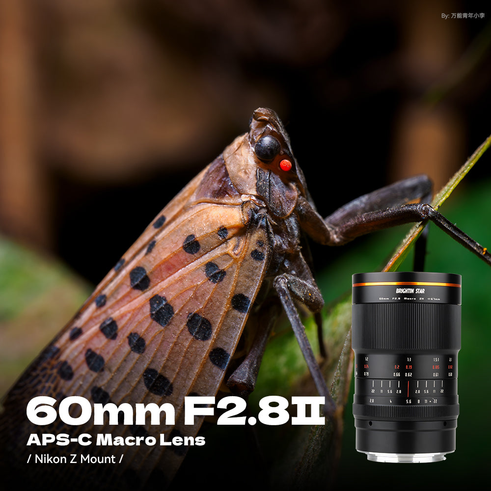 60mm F2.8 II 2X Macro Magnification Manual Focus Mirrorless Camera Lens - Brightin Star