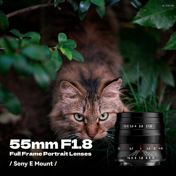 55mm F1.8 Full Frame Large Aperture Manual Focus Mirrorless Camera Lens, Fit for Nikon Z-Mount