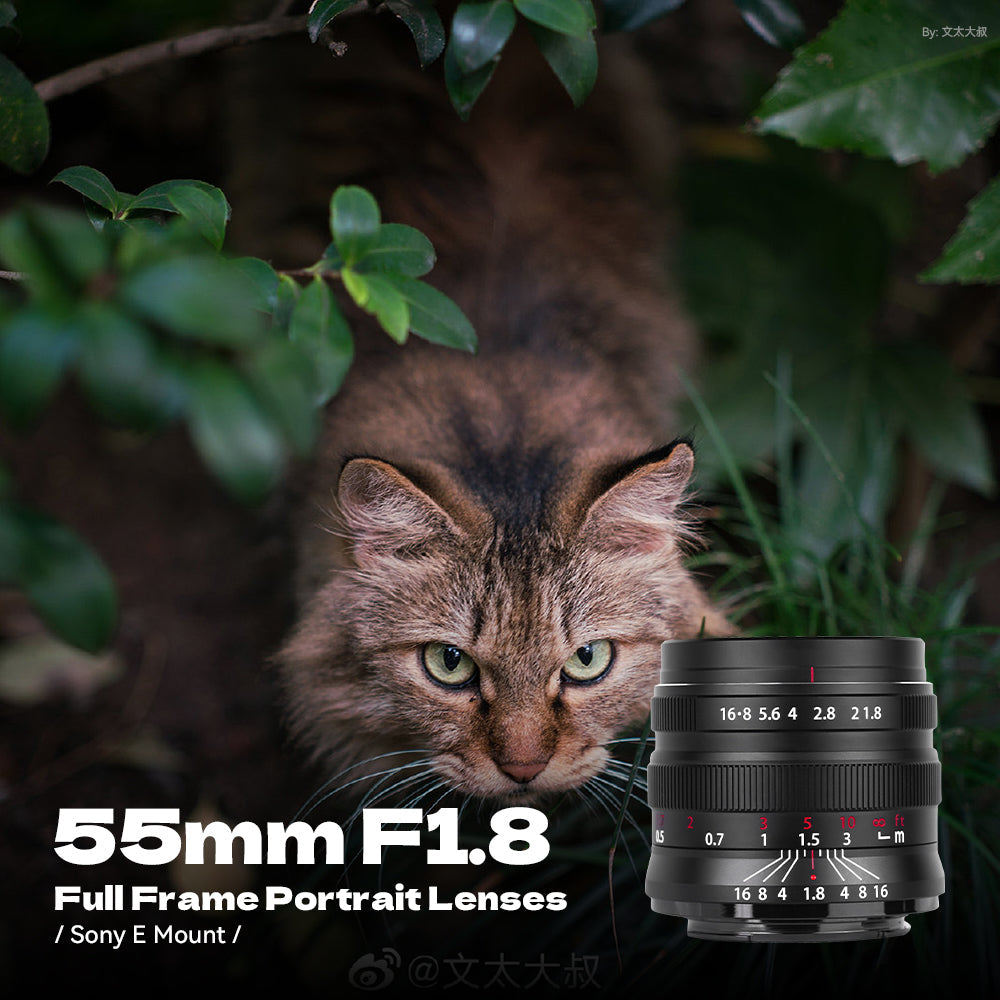 55mm F1.8 Full Frame Large Aperture Manual Focus Mirrorless Camera Lens, Fit for Canon RF Mount