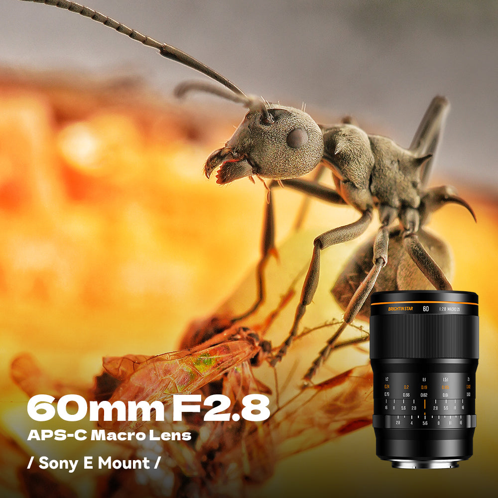 Brightin Star 60mm F2.8 2X Macro APS-C Manual Focus Prime Lens for Sony E Mount